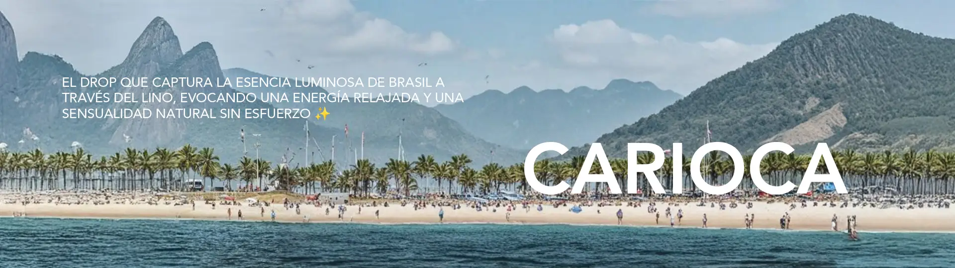 BANNER CARIOCA